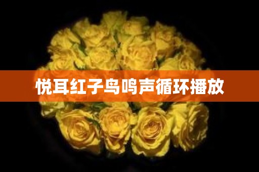 悦耳红子鸟鸣声循环播放