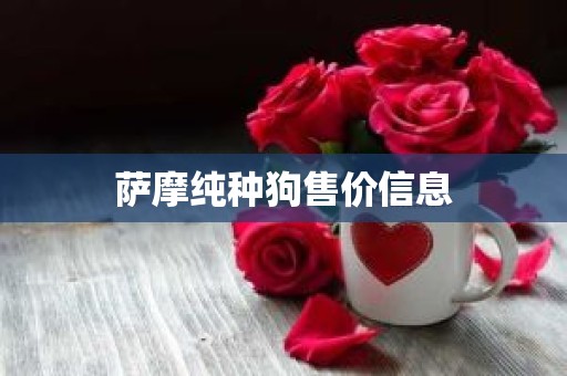 萨摩纯种狗售价信息