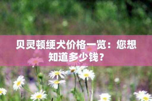 贝灵顿绠犬价格一览：您想知道多少钱？