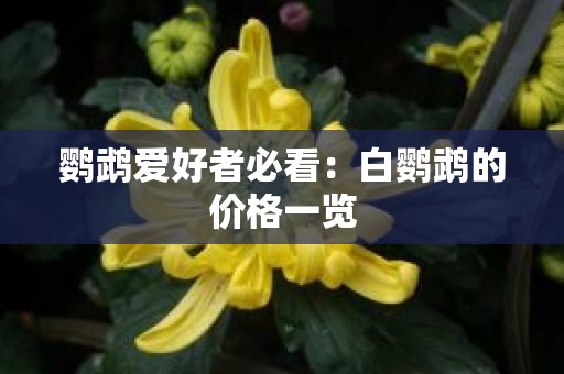 鹦鹉爱好者必看：白鹦鹉的价格一览