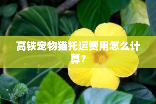 高铁宠物猫托运费用怎么计算？