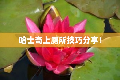 哈士奇上厕所技巧分享！