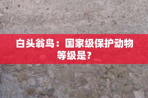 白头翁鸟：国家级保护动物等级是？