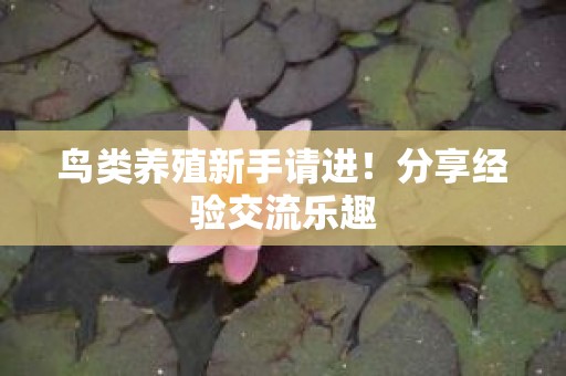 鸟类养殖新手请进！分享经验交流乐趣