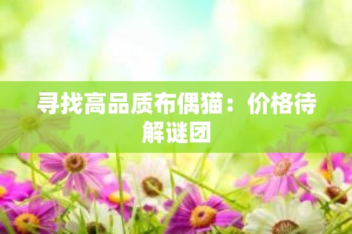 寻找高品质布偶猫：价格待解谜团