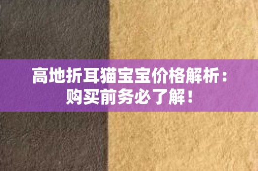 高地折耳猫宝宝价格解析：购买前务必了解！