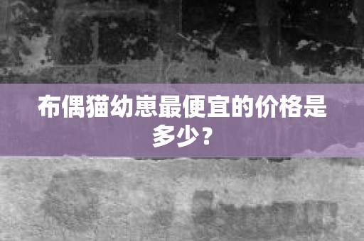 布偶猫幼崽最便宜的价格是多少？