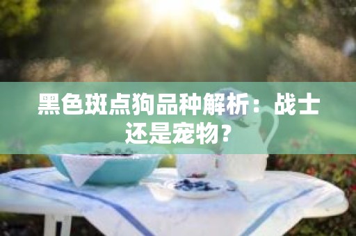 黑色斑点狗品种解析：战士还是宠物？