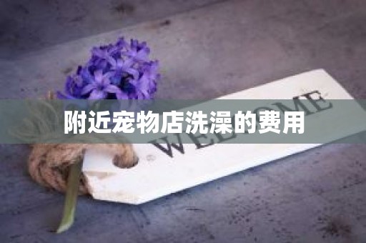 附近宠物店洗澡的费用