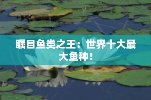 瞩目鱼类之王：世界十大最大鱼种！