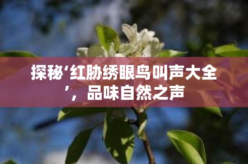 探秘‘红胁绣眼鸟叫声大全’，品味自然之声
