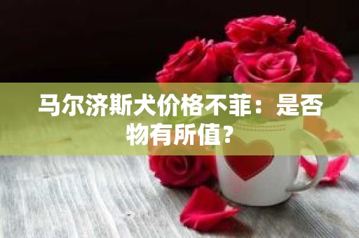 马尔济斯犬价格不菲：是否物有所值？