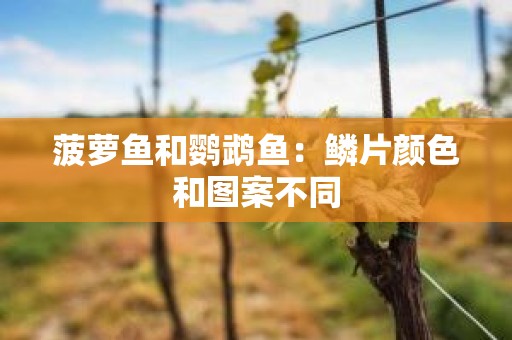 菠萝鱼和鹦鹉鱼：鳞片颜色和图案不同