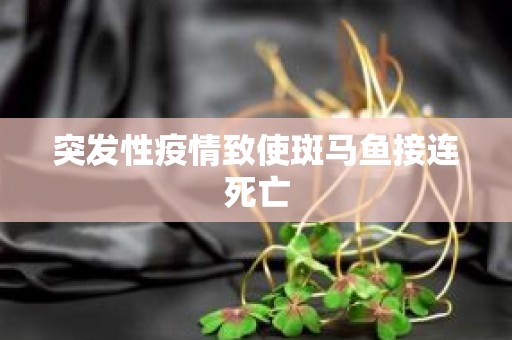 突发性疫情致使斑马鱼接连死亡