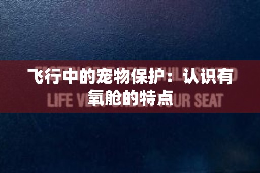 飞行中的宠物保护：认识有氧舱的特点