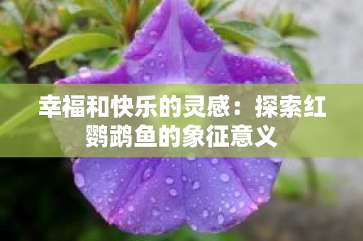 幸福和快乐的灵感：探索红鹦鹉鱼的象征意义