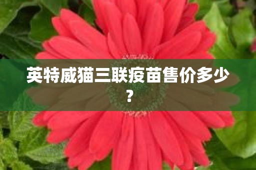 英特威猫三联疫苗售价多少？