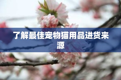 了解最佳宠物猫用品进货来源