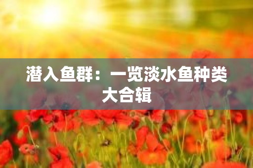 潜入鱼群：一览淡水鱼种类大合辑