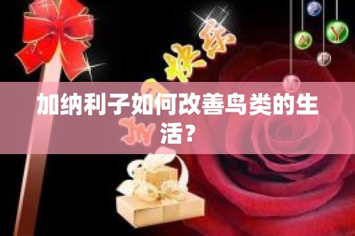 加纳利子如何改善鸟类的生活？