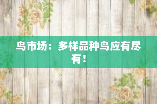 鸟市场：多样品种鸟应有尽有！