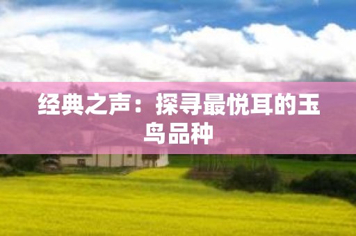 经典之声：探寻最悦耳的玉鸟品种