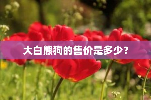 大白熊狗的售价是多少？