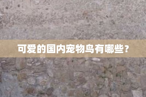 可爱的国内宠物鸟有哪些？