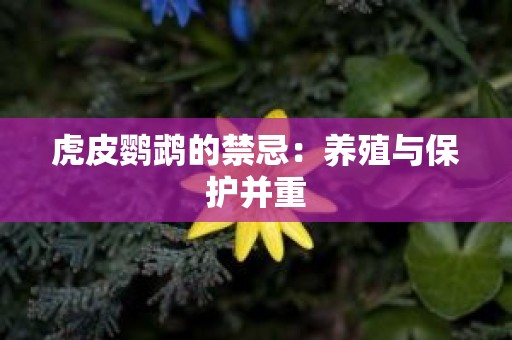 虎皮鹦鹉的禁忌：养殖与保护并重