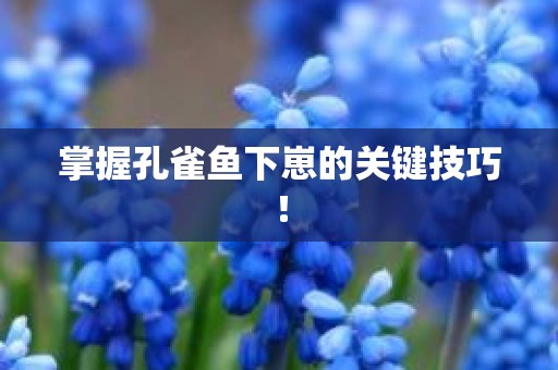 掌握孔雀鱼下崽的关键技巧！