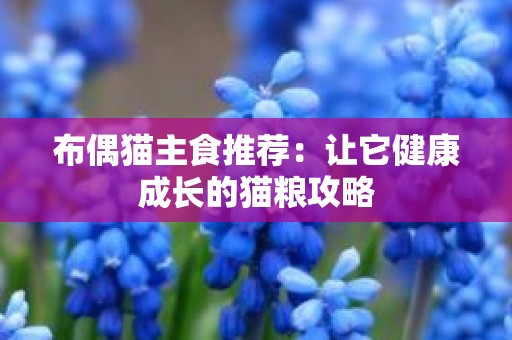 布偶猫主食推荐：让它健康成长的猫粮攻略