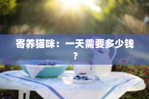 寄养猫咪：一天需要多少钱？