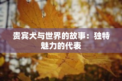 贵宾犬与世界的故事：独特魅力的代表