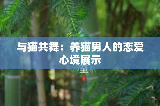 与猫共舞：养猫男人的恋爱心境展示