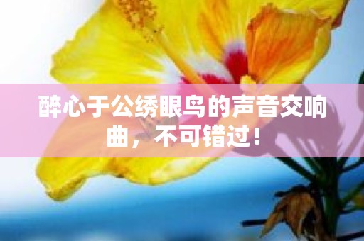 醉心于公绣眼鸟的声音交响曲，不可错过！