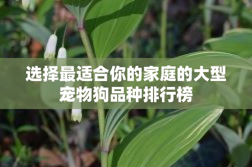 选择最适合你的家庭的大型宠物狗品种排行榜
