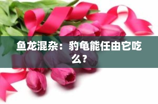 鱼龙混杂：豹龟能任由它吃么？