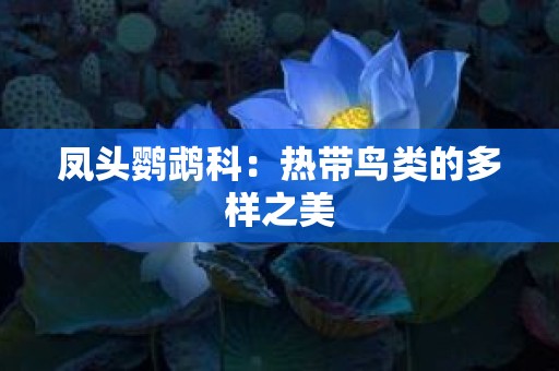 凤头鹦鹉科：热带鸟类的多样之美