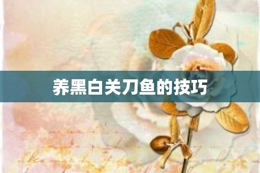 养黑白关刀鱼的技巧
