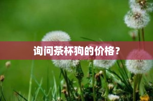 询问茶杯狗的价格？