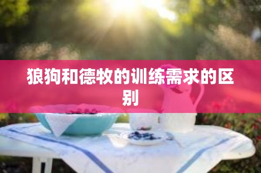 狼狗和德牧的训练需求的区别