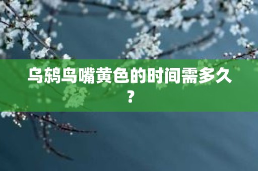 乌鸫鸟嘴黄色的时间需多久？