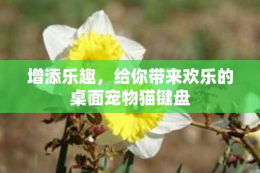 增添乐趣，给你带来欢乐的桌面宠物猫键盘