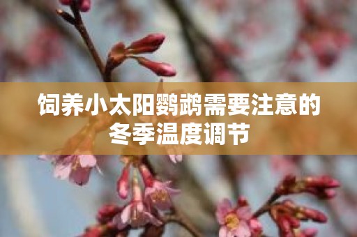 饲养小太阳鹦鹉需要注意的冬季温度调节