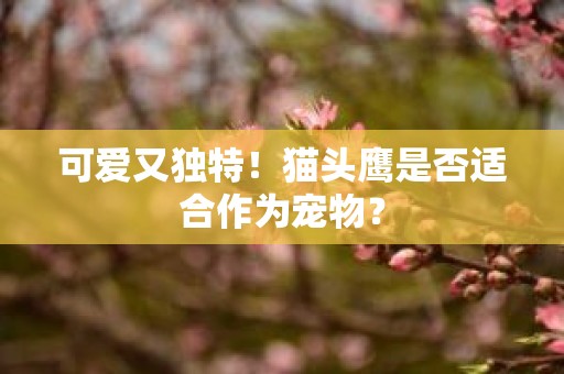 可爱又独特！猫头鹰是否适合作为宠物？