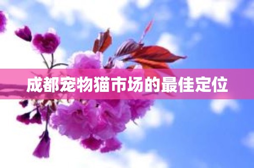 成都宠物猫市场的最佳定位