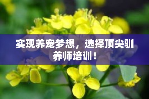 实现养宠梦想，选择顶尖驯养师培训！