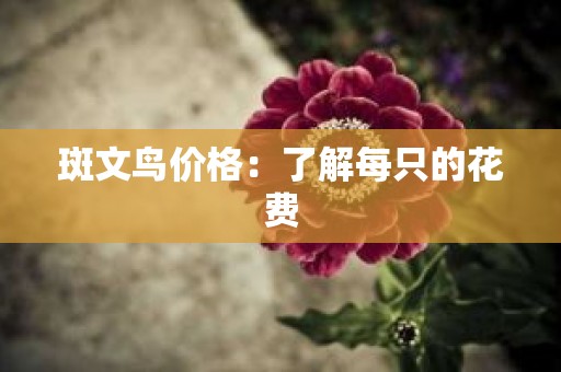 斑文鸟价格：了解每只的花费