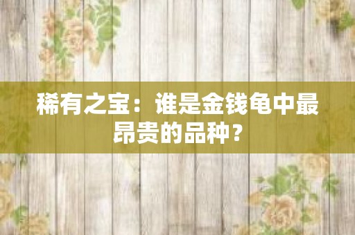 稀有之宝：谁是金钱龟中最昂贵的品种？