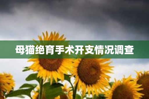 母猫绝育手术开支情况调查